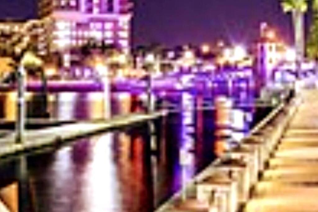 House Close To Downtown, Airport, Raymond James Stadium, And Many More Places Tampa Exteriér fotografie