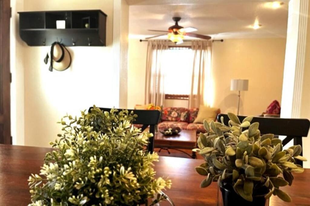 House Close To Downtown, Airport, Raymond James Stadium, And Many More Places Tampa Exteriér fotografie