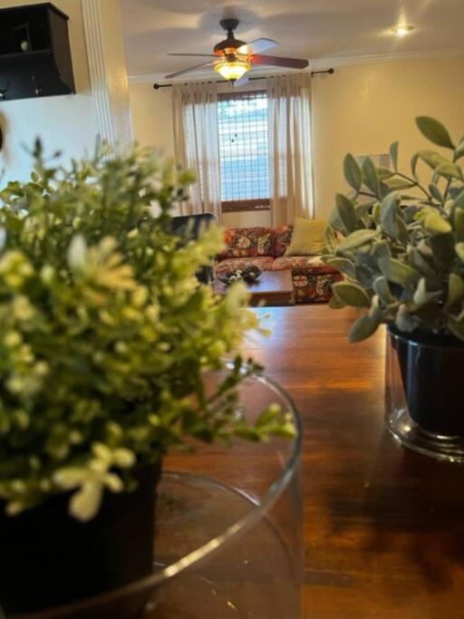 House Close To Downtown, Airport, Raymond James Stadium, And Many More Places Tampa Exteriér fotografie